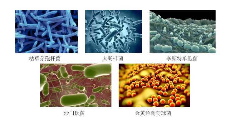 超声波能消灭的细菌